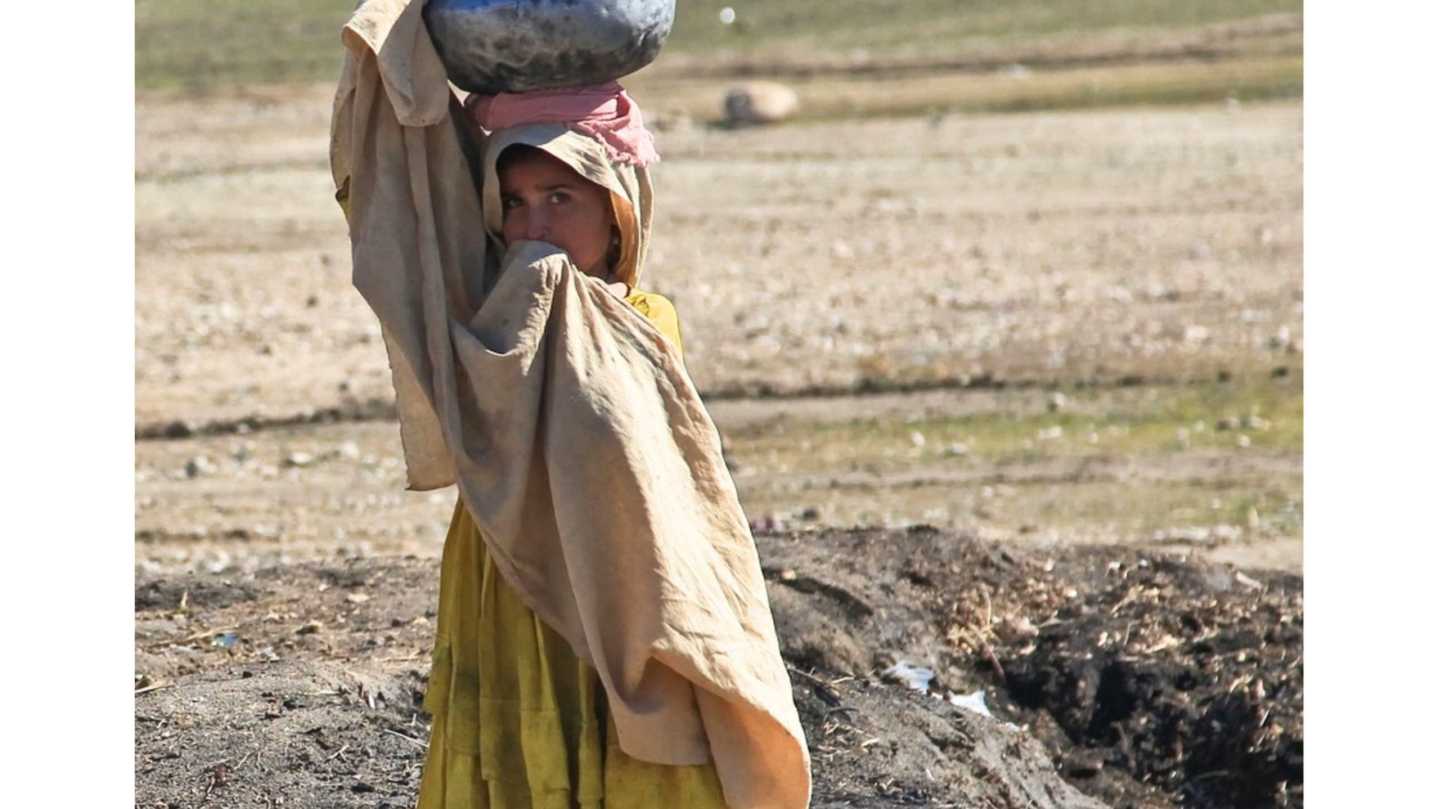 今世界で起きている児童労働を解説｜現状を理解し、私たちにできることを見つけよう | マガジン | Social Act Career |  ソーシャル企業専門の就活サイト